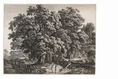Carl Wilhelm Kolbe, Eiche in einem großen Geviert, 1800, Etching