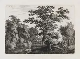 Carl Wilhelm Kolbe, Landschaft mit Eiche am Wasser