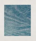 Franz Gertsch, Am Schwarzwasser. Ausschnitte: Landschaften in der Landschaft