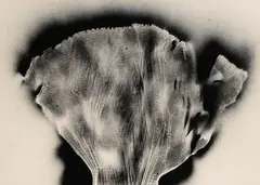 Flügelbild by Heinz Mack, 1960, India Ink, sold Apr 2008