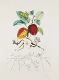 Pomme Dragon by Salvador Dalí, 1969, Etching in colours, sold Apr 2008
