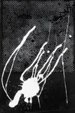 Ohne Titel (Griffelkunst 1989) by Sigmar Polke, 1989, Silkscreen, sold Apr 2008