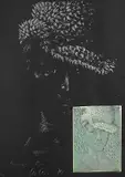 Adolf Luther, Nach einem Selbstportrait von H. B. Grien (1504) - Basel, 1974, Collage