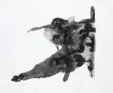 Rosemarie Trockel, Rorschach