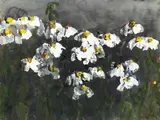 Klaus Fußmann, Margeriten