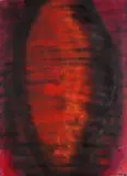 Maria Moser, Fokus