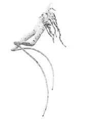 Peter Bömmels, 20 Millionen Jahre, 1982, Object
