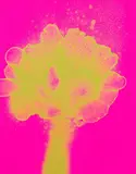 Otto Piene, 10 Bll. aus: Feuerflora, 1971, Silkscreen