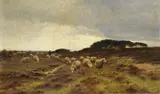 Cornelis Westerbeek, Heidelandschaft mit Schäfer und Schafherde, 1902, Oil on canvas