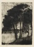 Lesser Ury, Sonnenuntergang am Grunewaldsee, 1924, Etching