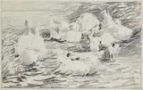 Alexander Koester, Sieben sich putzende Enten, 1900, Pencil drawing