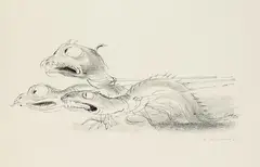 A. Paul Weber, 2 Bll.: Konferenz. Drei Bestien an der Leine, 1970, Pen and India ink drawing