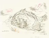 Oskar Kokoschka, Urvater der Fische
