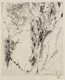 6 Bll.: Bäume by Horst Janssen, 1982, Etching, sold Jul 2007