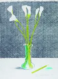 David Hockney, Lillies (Still Life), 1971, Lithograph in colours