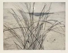Otto Eglau, Dünengräser, 1957, Etching in colours