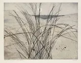 Otto Eglau, Dünengräser, 1957, Etching in colours