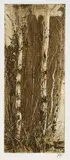 2 Bll.: Waldrand. Dürerweg by Horst Janssen, 1982, Etching, sold May 2007