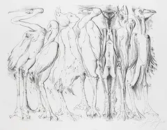 Günter Grass, Zwischen Vögeln, 1981, Lithograph