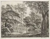 Anthonie Waterloo, Waldweg mit den Einzäunungen, Etching