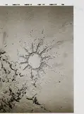 Sandzeichnungen by Joseph Beuys, 1974, Portfolio, sold Mar 2007