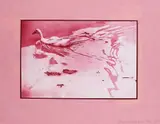Robert Rauschenberg, Ohne Titel, 1983, Etching and aquatint in colours