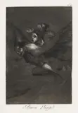 Francisco De Goya, Buen Viage