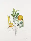 Pamplemousse érotique by Salvador Dalí, 1969, Photo-lithograph, sold Mar 2007