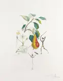 Poire Don Quichotte by Salvador Dalí, 1969, Photo-lithograph, sold Mar 2007