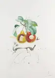 Fruits troués by Salvador Dalí, 1969, Photo-lithograph, sold Mar 2007