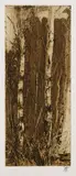 Horst Janssen, 4 Bll.: Landschaften, 1982, Etching