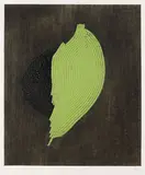 Arthur Luiz Piza, Noire et verte