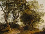 Johann Georg von Dillis, Waldweg am Fluss