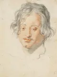 Agnese Dolci, Zugeschrieben - Porträt eines jungen Mannes, Chalk drawing