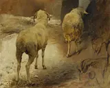 Heinrich von Zügel, Zwei Schafe von hinten, Studie