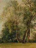 Johann Georg von Dillis, Bäume im Englischen Garten