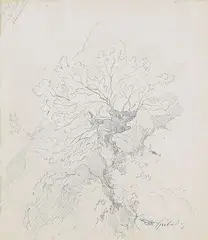 Baumstudie by Carl Spitzweg, 1856, Pencil drawing, sold Oct 2006