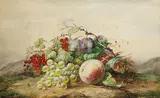 Julie Palmyre van Marcke, Früchtestillleben, Watercolour