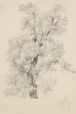 Friedrich August Schlegel, Zeichner vor einem Baum, Pencil drawing