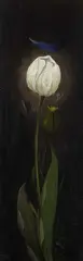 Weiße Tulpe by Franz Radziwill, 1952, Oil on canvas, sold Mar 2006