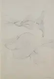 Hans Bellmer, Komposition, 1960, Pencil drawing