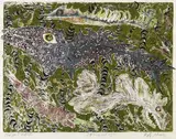 Rolf Nesch, Aus: Schwimmen (Fische)