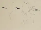 Edvard Munch, Three Flamingoes, 1908, Lithograph