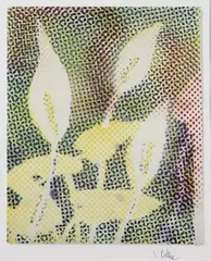 Calla by Sigmar Polke, 1996, Offset in colours, sold Mar 2006