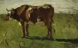 Hans Peter Feddersen, Kuhstudie, 1876, Oil on canvas