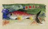 Paul Mathias Padua, Fisch (BRI 17.3.59), 1959, Watercolour