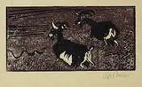 Otto Pankok, Ziegen und Schlange