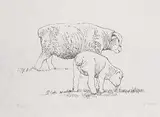 Henry Moore, Two fat lambs, 1974, Lithograph