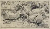 Alexander Koester, 4 Bll. Skizzen mit Enten, 1900, Pencil
