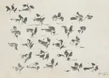 Fritz Koenig, 2 Bll. Mischwesen, 1969, Charcoal drawing